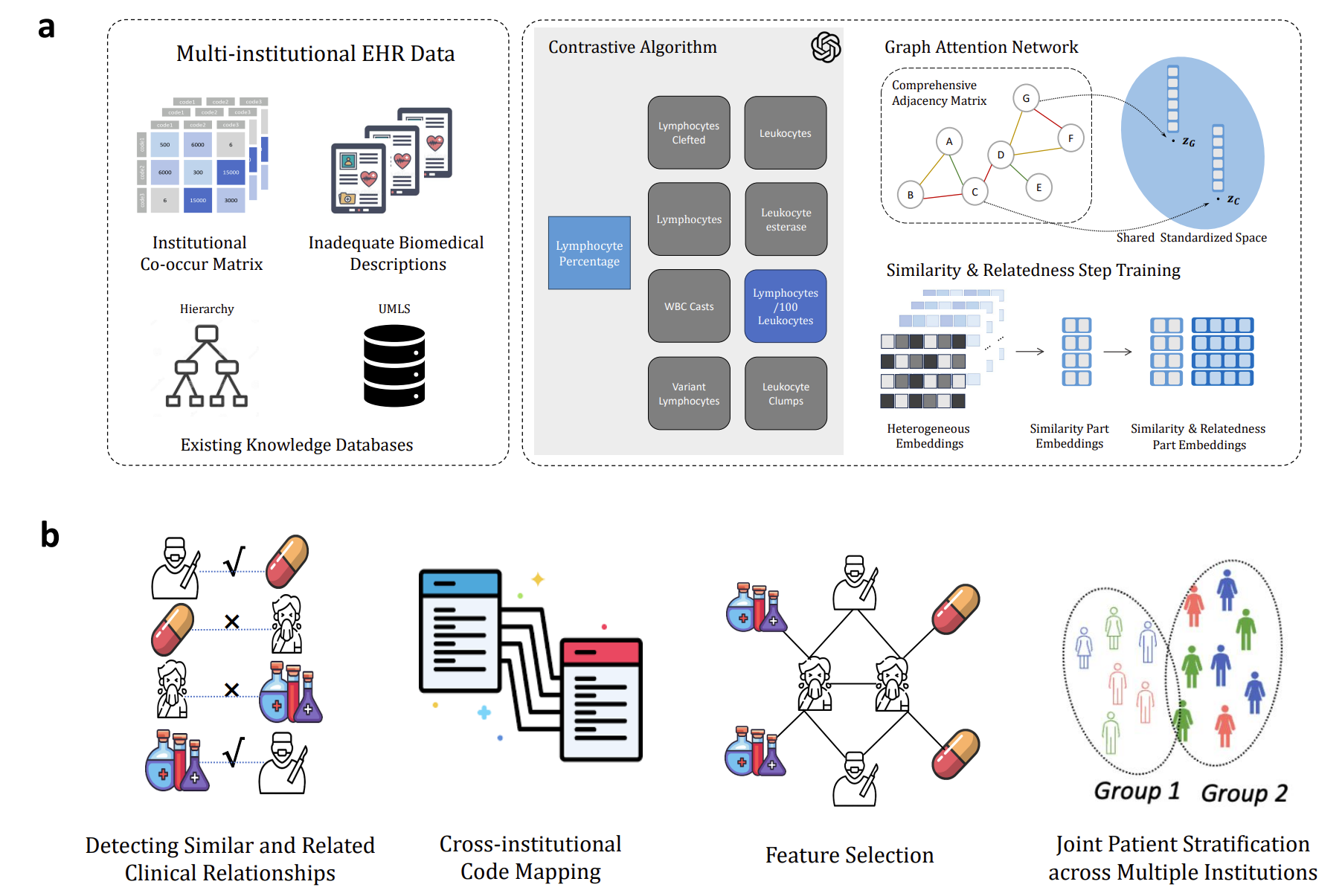 Representation learning to advance multi-institutional studies with electronic health record data infographic